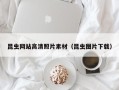 阿里昆虫网站高清照片素材（昆虫图片下载）